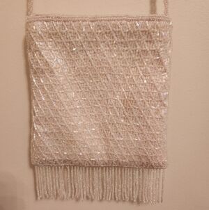 Beaded Fringe Evening Bag